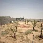 استر ا حه في شمال القرين ( للاجار)