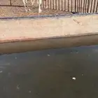 قعود اوضح علياني