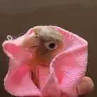 كنيور للبيع