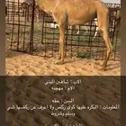 هجن
