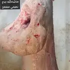 ذبائح مع السلخ والتوصيل