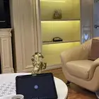 المحامية مرام