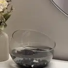 سمك زينه