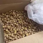 تمر زويند او زويندي