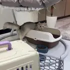 بس شيرازي