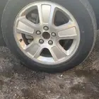 جنوط فكتوريا