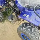 دباب وكاله استعمال شهر.
