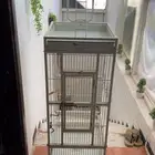اقفاص ببغاء للبيع