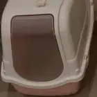 مستلزمات قطط
