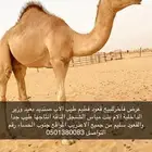 للبيع عرض فاخر
