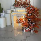 استقبال مواليد