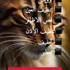حلاقه وترويش قطط وكلاب وعلاج وتطعيمات