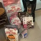 cat food