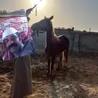 مهر واهو