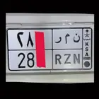 تم البيع لوحه نمر