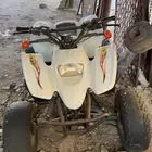 دباب سويدي 2019 لون ابيض