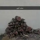 حطب طلح كفو