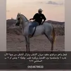 خيل واهو