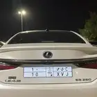 للبيع لوحة 10