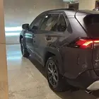 راف فور - 2023