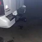 سحب عربات نحل و فود ترك