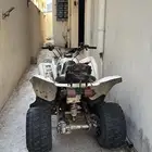دباب زد 250