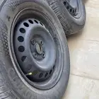 جنوط يارس حديد