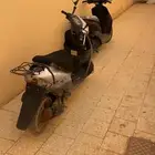 دباب بطه