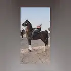 مهره شيخه شعبيه