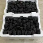 تمر عجوة المدينه طيبه