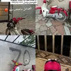 دباب هوندا صيني الدباب ب لوحه واوراق والصامل مانختلف معه