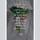 مصورة زواجات باسعار خيالية