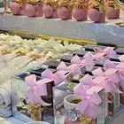 توزيعات مواليد. مناسبات ب اسعار حلوه