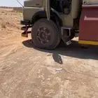 وايت