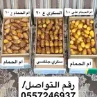 تمر سكري و ام كوير