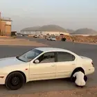 مكسيما 2003