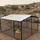 شبك غنم