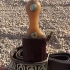 جنبيه شبه الزراف كفو