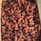 تمر صفري بيشه