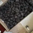 تمر عجوه فاخر موجود الان بالباحة