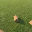 ثيل سي 2000 طبيعي