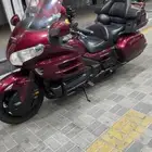 قولد وينق 2009