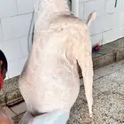 سواكن مخاصي مرابي - رغوه - شرق خميس مشيط