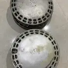 طيس كرسيدا