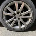 جنوط كابرس16