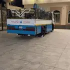 زرع نخل