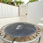 نطيطه و البيع سمح
