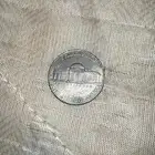 قرش نادر امريكي