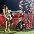 ايجار جمل و خيل وسيسي وحنطور