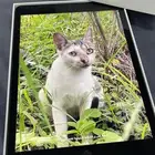 ايباد ايفون